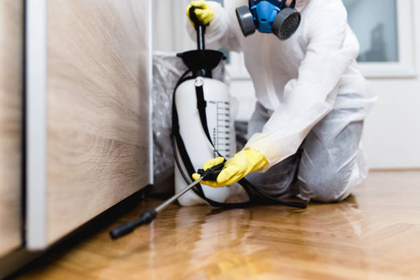 Pest Control for Restaurants in Romeo, MI
