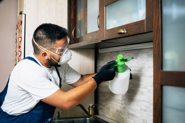 Best Rat Extermination Near Me  in Romeo, MI