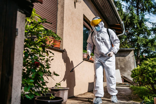 Best Pest Prevention Services  in Romeo, MI