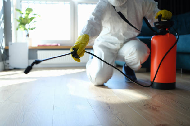 Trusted Romeo, MI Pest Control Experts