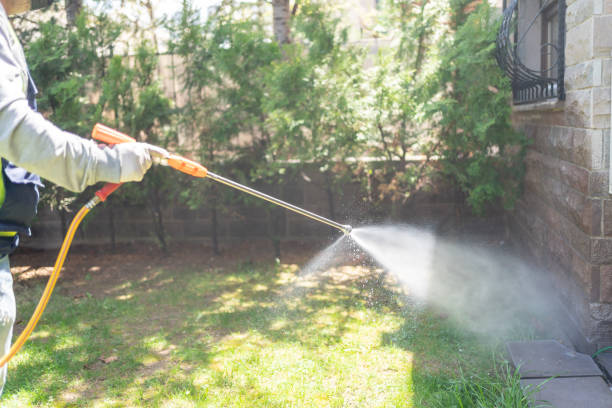 Best Wildlife Control Services  in Romeo, MI