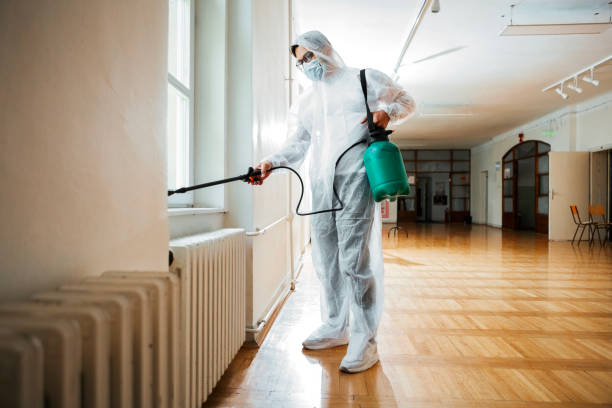 Best Termite Control Services  in Romeo, MI